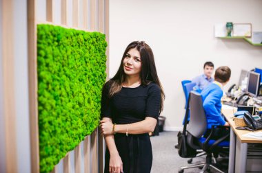 Rusya, Novosibirsk - 29 Kasım 2017: dekoratif moss iç dekorasyon için. Office stil, iç tasarım öğeleri