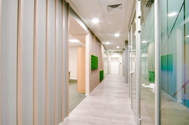 Rusya, Novosibirsk - 29 Kasım 2017: dekoratif moss iç dekorasyon için. Office stil, iç tasarım öğeleri