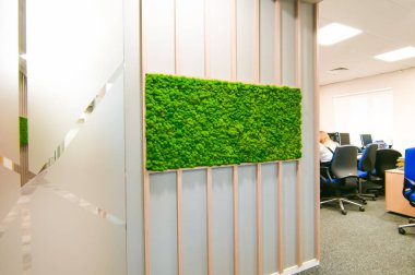 Rusya, Novosibirsk - 29 Kasım 2017: dekoratif moss iç dekorasyon için. Office stil, iç tasarım öğeleri