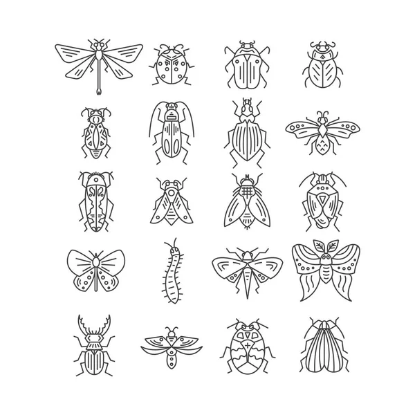 Vektorlinie Sammlung Von Insekten Und Käfern Modernem Flachen Stil — Stockvektor