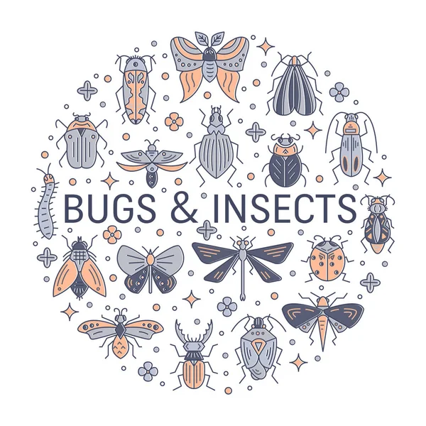Vektor Set Von Bugs Und Insekten Kreis Design Element Linearen — Stockvektor