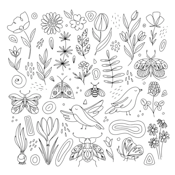 Коллекция Vector Spring Птицами Цветами Бабочками Белом Фоне Линейное Искусство — стоковый вектор