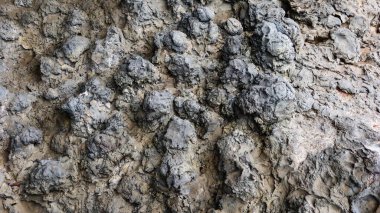 Engebeli, topak topak volkanik kaya yüzeyine yakın çekim, toprak gri ve kahverengi tonlarda, karmaşık doğal dokular ve erozyon desenleri sergiliyor, jeolojik harikalar ve ham toprak elementlerini çağrıştırıyor.