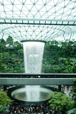 İnci, Singapur Changi Havalimanı, Singapur - 16 Ağustos 2025: dünyanın en uzun kapalı şelalesi, Yağmur Girdabı, gündüz vakti yağmur ormanları ağaçlarıyla çevrili, yan tarafında tren rayı olan.