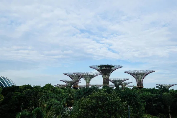Körfez kıyısındaki bahçeler, Marina Bahçesi, Singapur 13 Ağustos 2025: İnsanlar Marina Reservoir 'un yanında, kopyalama alanı olan bir kule gibi büyük bir kule ile kentsel bahçe parkı yaptılar.