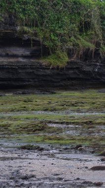 Koyu yeşil yosun ve seyrek bitki örtüsüyle birbirine karışmış koyu volkanik kayaların dokulu görüntüsü doğal erozyonun ve fotokopi uzayı ile büyümenin ham güzelliğini yakalıyor.