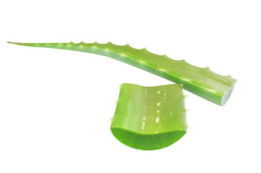 Beyaz bir arka plan üzerinde taze aloe vera