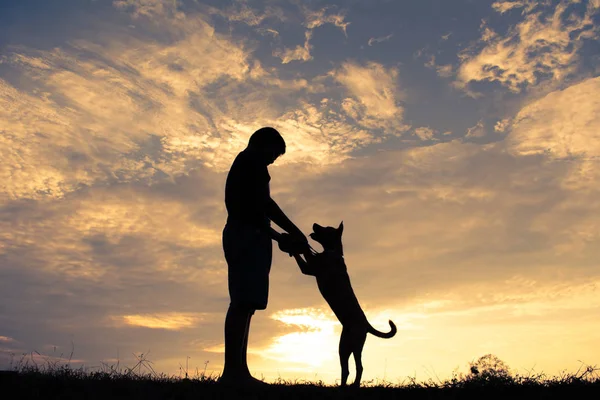 Silhouet Schattige Jongen Hond Spelen Bij Sky Zonsondergang Vakantie — Stockfoto