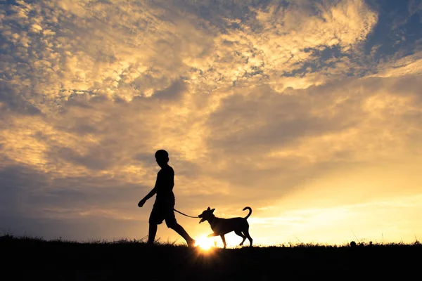 Силуэт Симпатичного Мальчика Собаки Играющей Закате Неба Праздник — стоковое фото