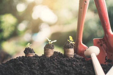 Toprak zemin üzerine, ekonomik büyüme kavramı büyüyen paralar.