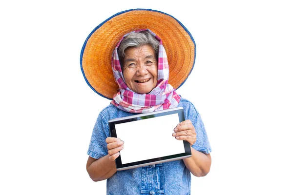 Ευτυχισμένος Παλιά Γυναικών Αγρότης Χρησιμοποιώντας Tablet Και Χαρούμενη Λευκό Φόντο — Φωτογραφία Αρχείου