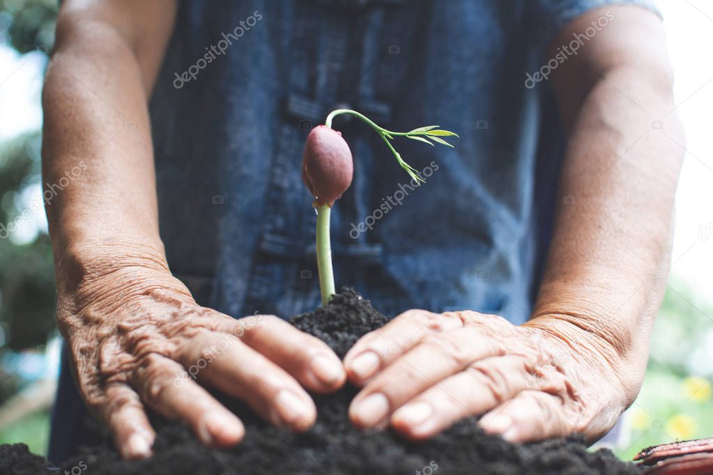 Human hand planting sprout in nature, Save and protect environment.
