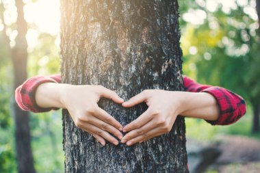 İnsan kucaklama büyük ağaç rengini hipster sesi seçici yumuşak odak, kavramı koruma çevre