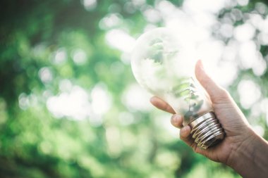 İnsan holding ampuller doğa seçici yumuşak odak, kavramı koruma çevre