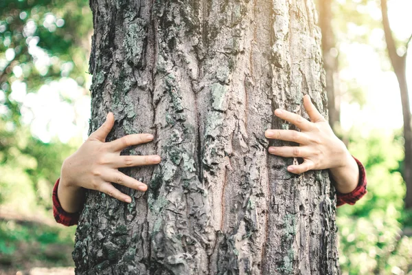 Human hugging big tree color of hipster tone selective soft focus, concept protect environment