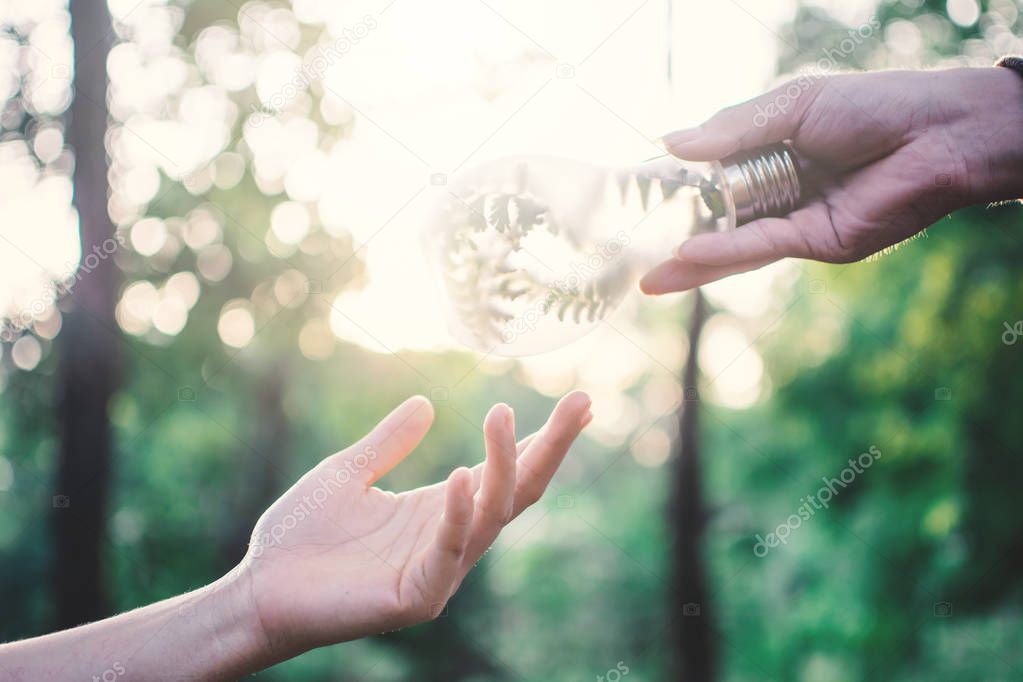 Human holding light bulb in nature selective soft focus, concept protect the environment