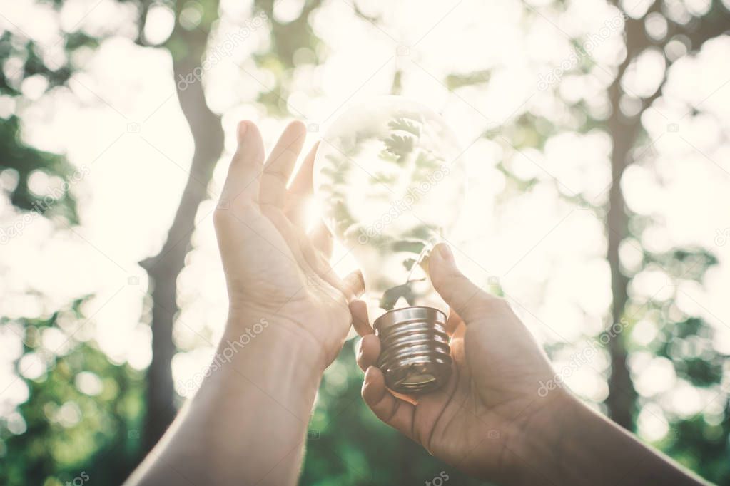 Human holding light bulb in nature selective soft focus, concept protect the environment