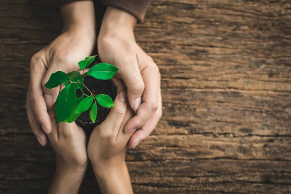 Human Hand Protecting Little Plant Concept Earth Day Environment Ozone — Stock Photo, Image