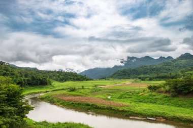 Yeşil alan akım eğrisi ve dağ sis
