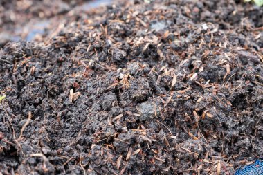 Toprak ve gübre mezarlığına ekime hazırlanması