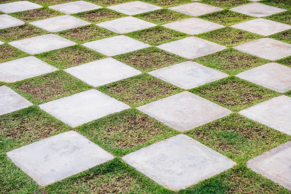 Chessboard stone with grass floor in garden