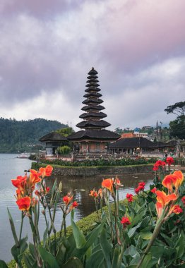 Portakal çiçeği Bali, Endonezya çiçeklenme ile antik Pura Ulun Danu Bratan Tapınak
