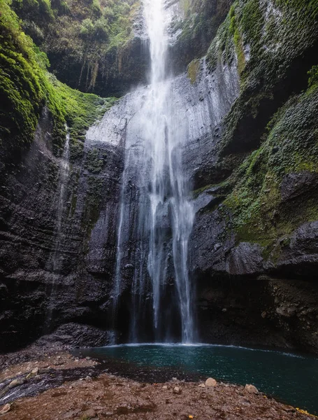 Cachoeira Majestosa Fluindo Penhasco Rocha Floresta Tropical Madakaripura Java Oriental — Fotografia de Stock