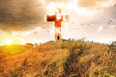 Işık parlayan altın çayır dağda çapraz