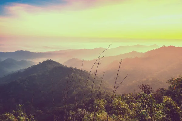 Montaña Niebla Suave Amanecer Escénico Mañana Efecto Filtro — Foto de Stock