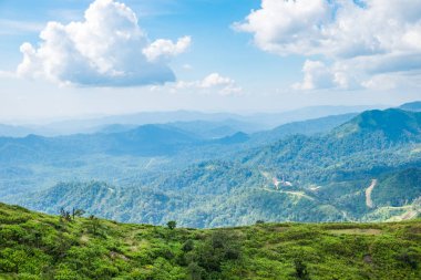 Yeşil dağ tepe eğimi ve parlak gökyüzü