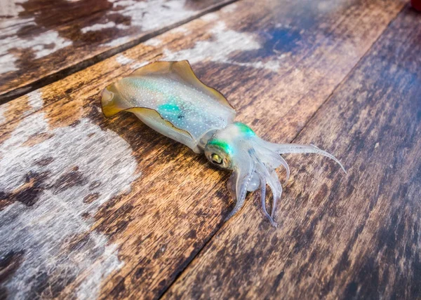 Tintenfisch Klares Grünes Auge Auf Holzboot — Stockfoto