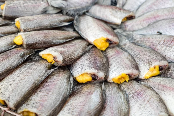 Yılan derisi gurami balığı, Pla Salit balık, Trichogaster pektoralis, yer paylaşımlı Yerel mutfak Tayland Kuru