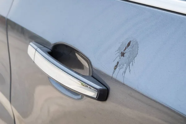 Боковая Дверь Серый Автомобиль Какашками Птицы Липкие — стоковое фото