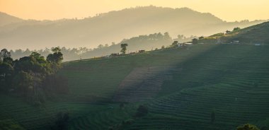 Akşam saat doi Pzt reçel, chiang mai, Tayland parlayan alanları merdiven ışık