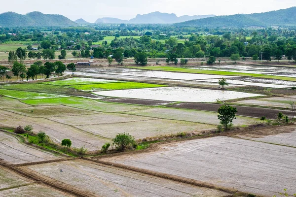 Rice field with mountain arid dry at wat tham sua,kanchanaburi