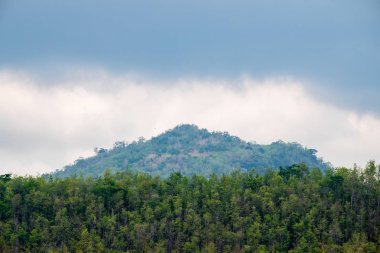 Orman bulutlu gökyüzü dağda