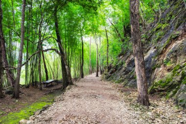 Tropikal yağmur ormanları yol yeşil parlak cehennem ateşi, yağışlı sezon pass, kanchanaburi, Tayland