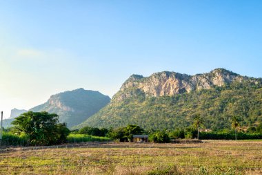 Dağ ve günbatımı tarım arazisi 