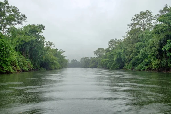 Зелені Джунглі Річки Вологе Повітря Місті Sai Yok Канчанабурі Таїланд — стокове фото