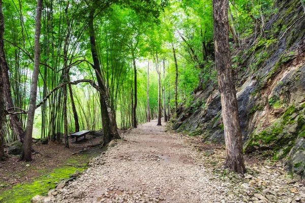 Tropikal yağmur ormanları yol yeşil parlak cehennem ateşi, yağışlı sezon pass, kanchanaburi, Tayland