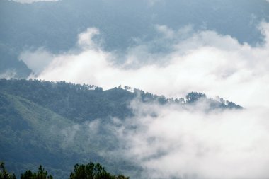 Tepe dağ sabah sisli