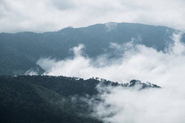 Bulut sis hareket doi Inthanon, chiang mai, dağ yoluyla