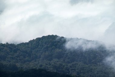 Bulut sis hareket doi Inthanon, chiang mai, dağ yoluyla