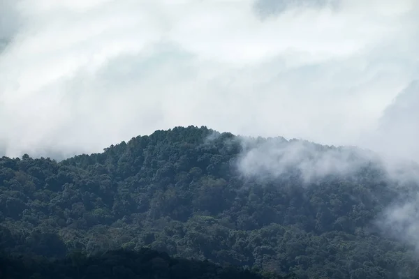 Nube Niebla Movimiento Través Montaña Doi Inthanon Chiang Mai — Foto de Stock