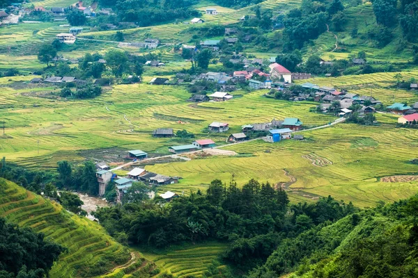 View Tavan Village Rice Field Terraced Sapa Vietnam — стоковое фото