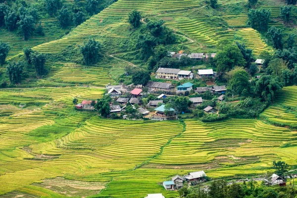 Aldeia Tavan Campo Arroz Terraço Montanha Vale Sapa Vietnã — Fotografia de Stock