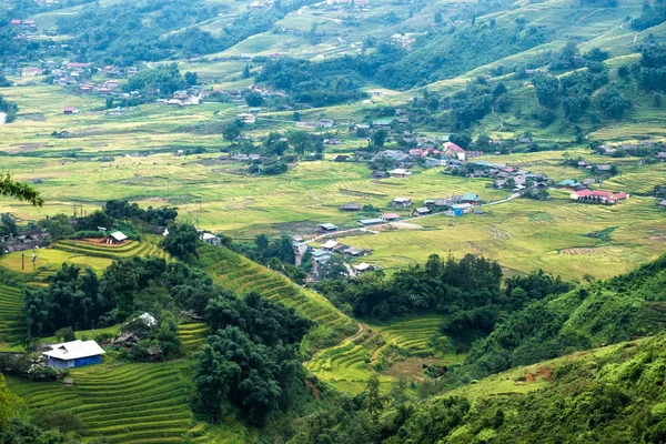 View Tavan Village Rice Field Terraced Sapa Vietnam — стоковое фото