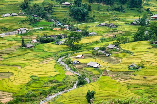 Paisagem Campo Arroz Com Rio Aldeia Tribal — Fotografia de Stock