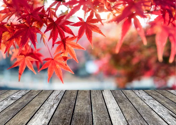 秋天覆盖的枫叶上的木桌上 — 图库照片
