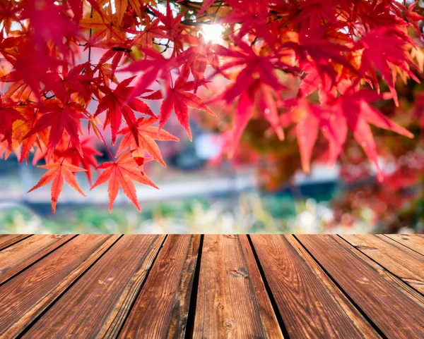 在走廊花园模糊的红色枫叶上的木桌上 — 图库照片